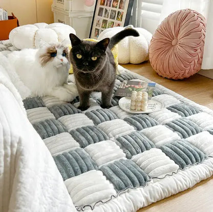 Pawssenger Mat