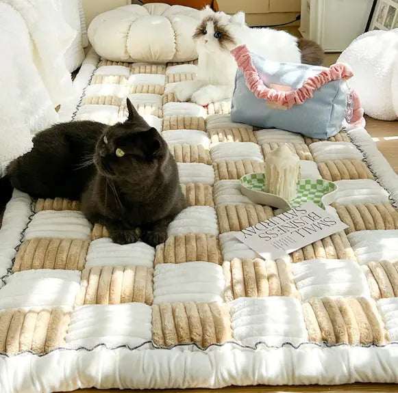 Pawssenger Mat