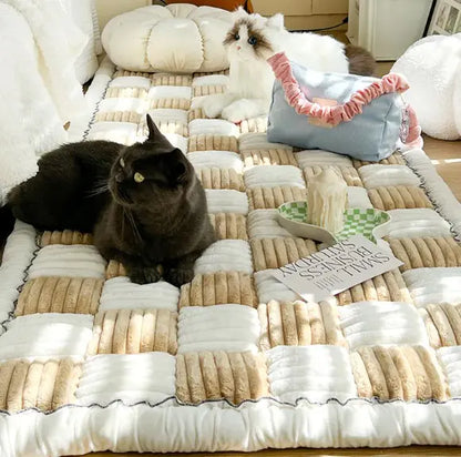 Pawssenger Mat